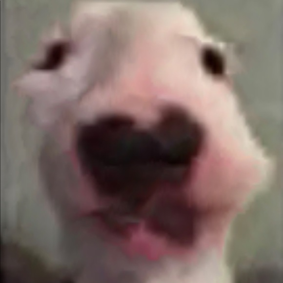 Meet your Posher, Jacob - Picture 1 of 1